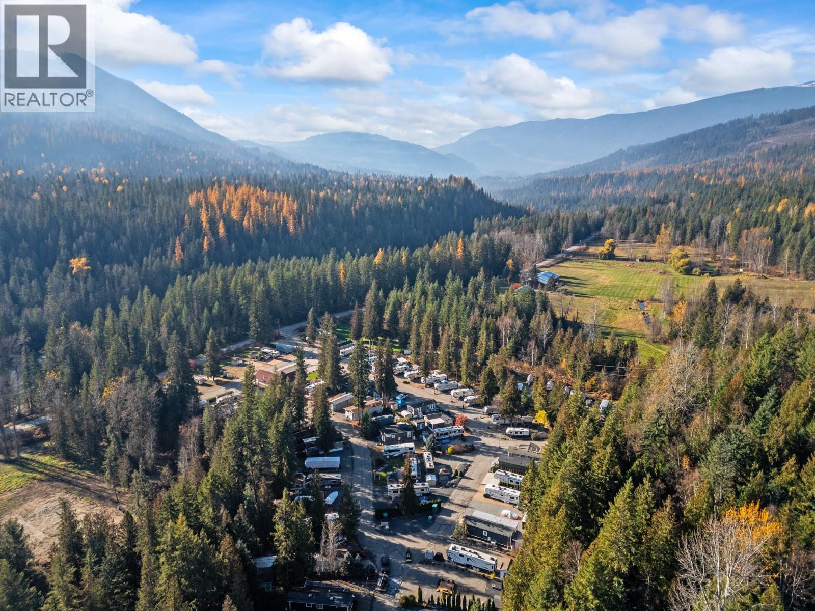 3303 Enderby Mabel Lake Road Unit# Rv Lot 3, Enderby, British Columbia  V0E 1V5 - Photo 10 - 10368937