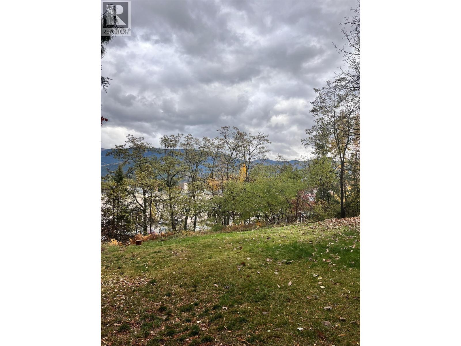 Lot B 9th Avenue, Castlegar, British Columbia  V1N 1M4 - Photo 3 - 10368897