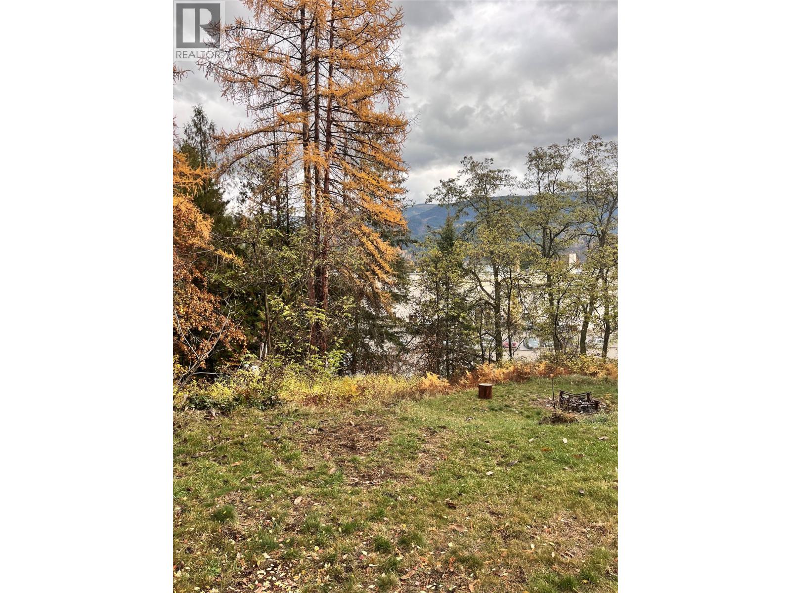 Lot B 9th Avenue, Castlegar, British Columbia  V1N 1M4 - Photo 4 - 10368897