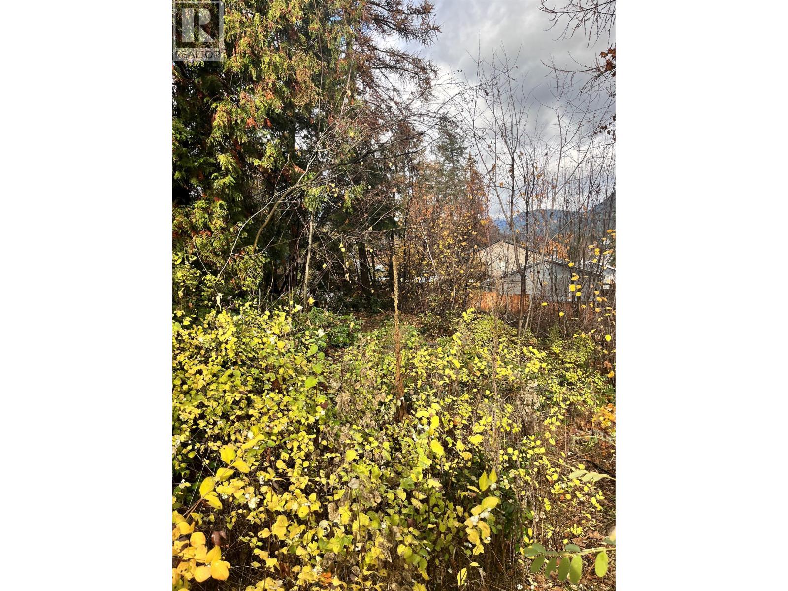 Lot B 9th Avenue, Castlegar, British Columbia  V1N 1M4 - Photo 6 - 10368897