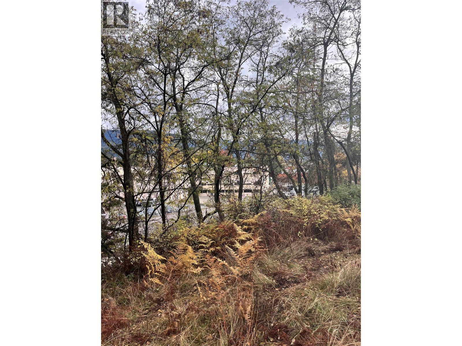 Lot B 9th Avenue, Castlegar, British Columbia  V1N 1M4 - Photo 7 - 10368897