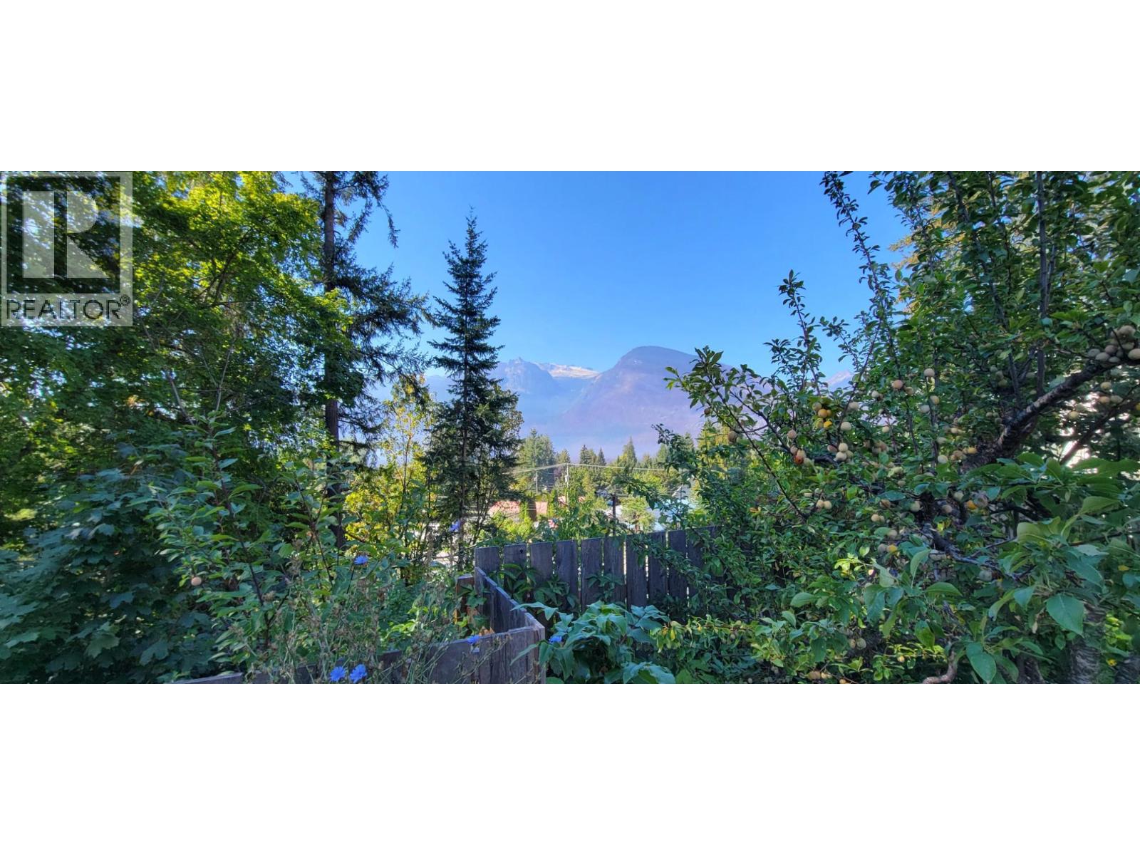 515 9th Avenue, New Denver, British Columbia  V0G 1S0 - Photo 32 - 10367661