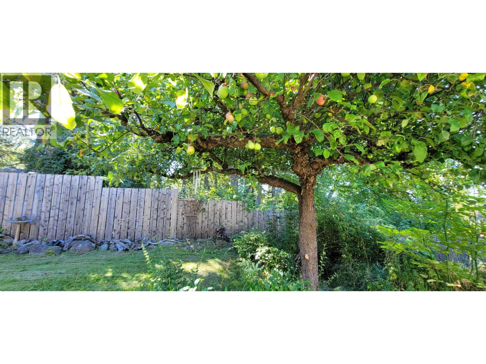 515 9th Avenue, New Denver, British Columbia  V0G 1S0 - Photo 35 - 10367661