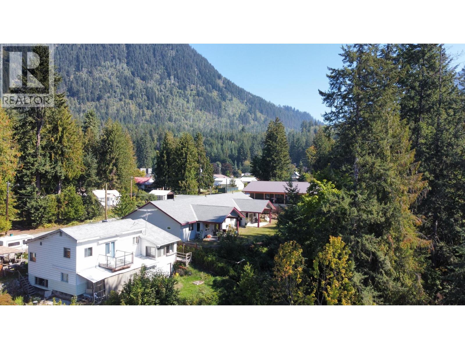 515 9th Avenue, New Denver, British Columbia  V0G 1S0 - Photo 47 - 10367661