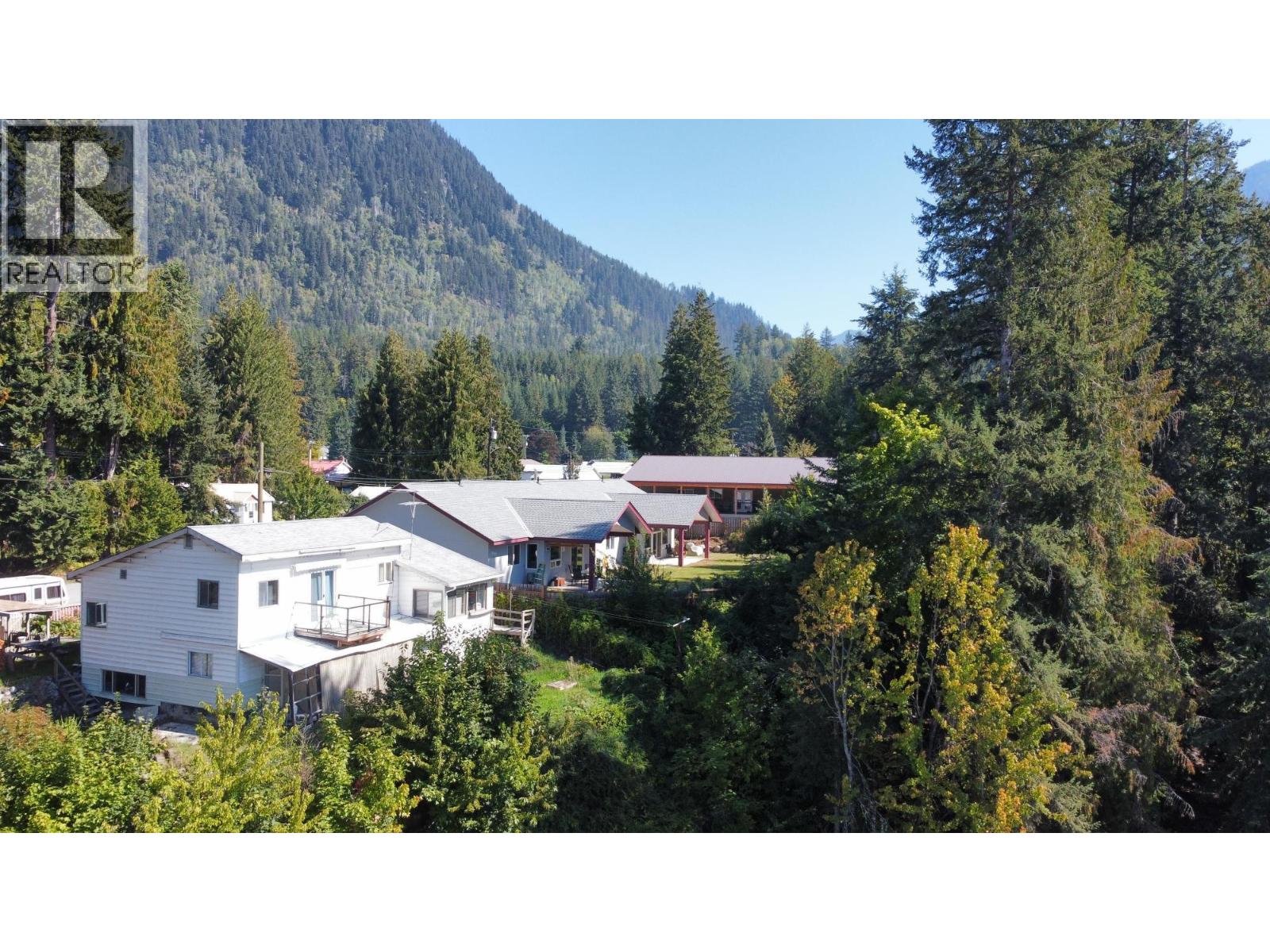 515 9th Avenue, New Denver, British Columbia  V0G 1S0 - Photo 49 - 10367661