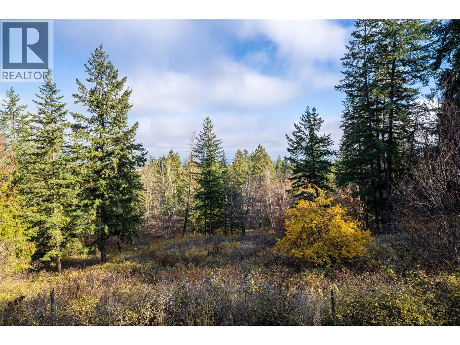 4358 Chamberlain Road, Spallumcheen, British Columbia  V4Y 0M1 - Photo 57 - 10368979