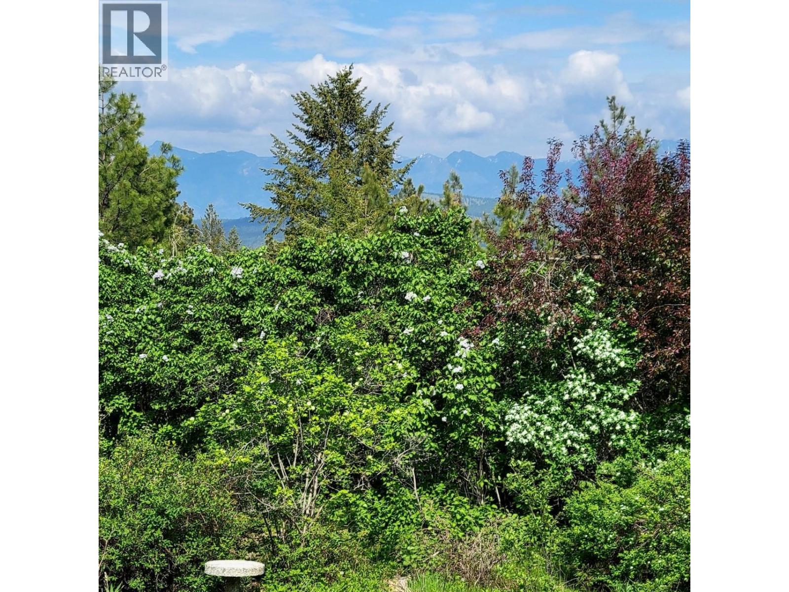 380 Ivy Road, Cranbrook, British Columbia  V1C 6W6 - Photo 34 - 10368944