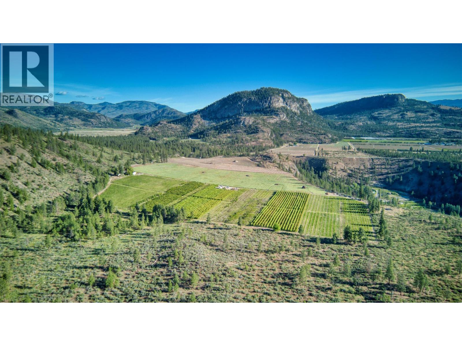 298 Test Orchard Road, Oliver, British Columbia  V0H 1T5 - Photo 10 - 10366648