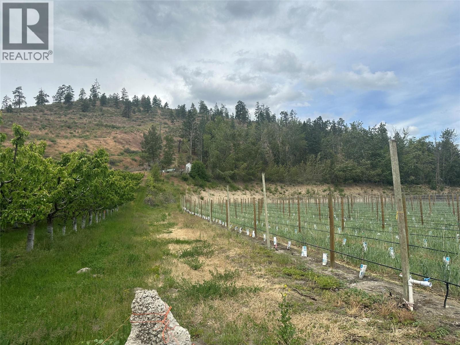 298 Test Orchard Road, Oliver, British Columbia  V0H 1T5 - Photo 19 - 10366648