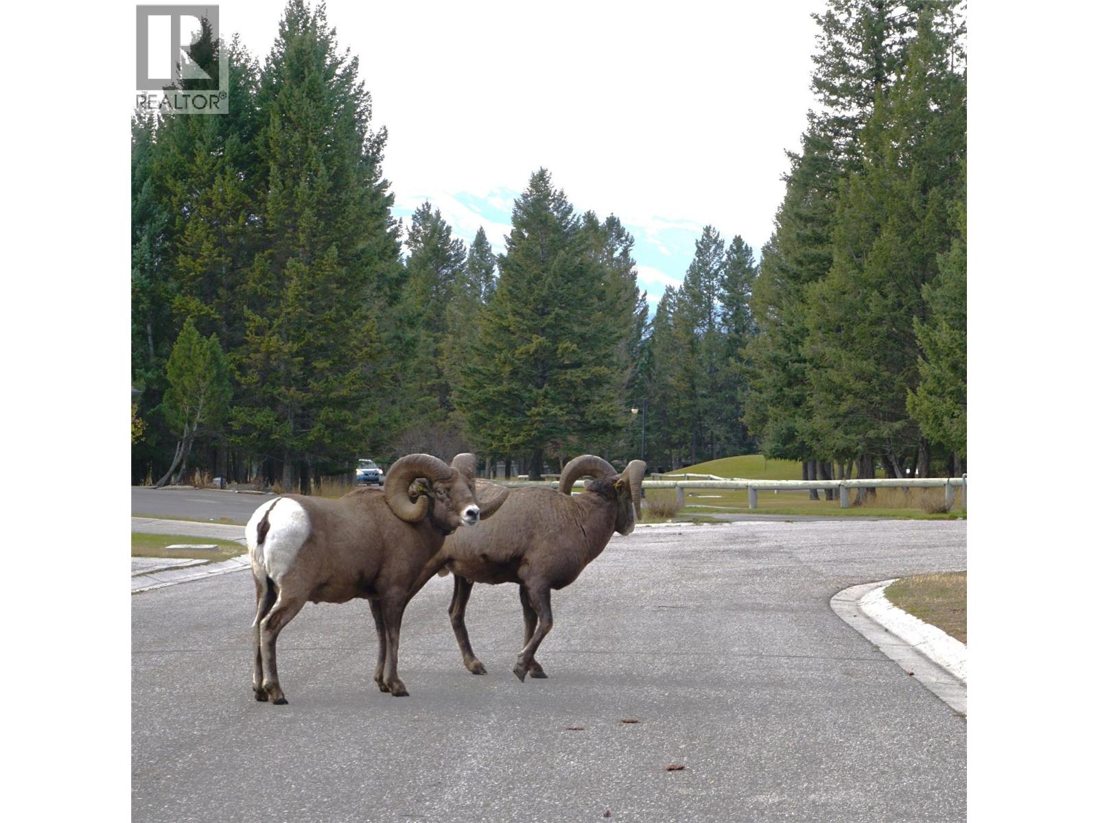 900 Bighorn Boulevard Unit# 914, Radium Hot Springs, British Columbia  V0A 1M0 - Photo 30 - 10368852