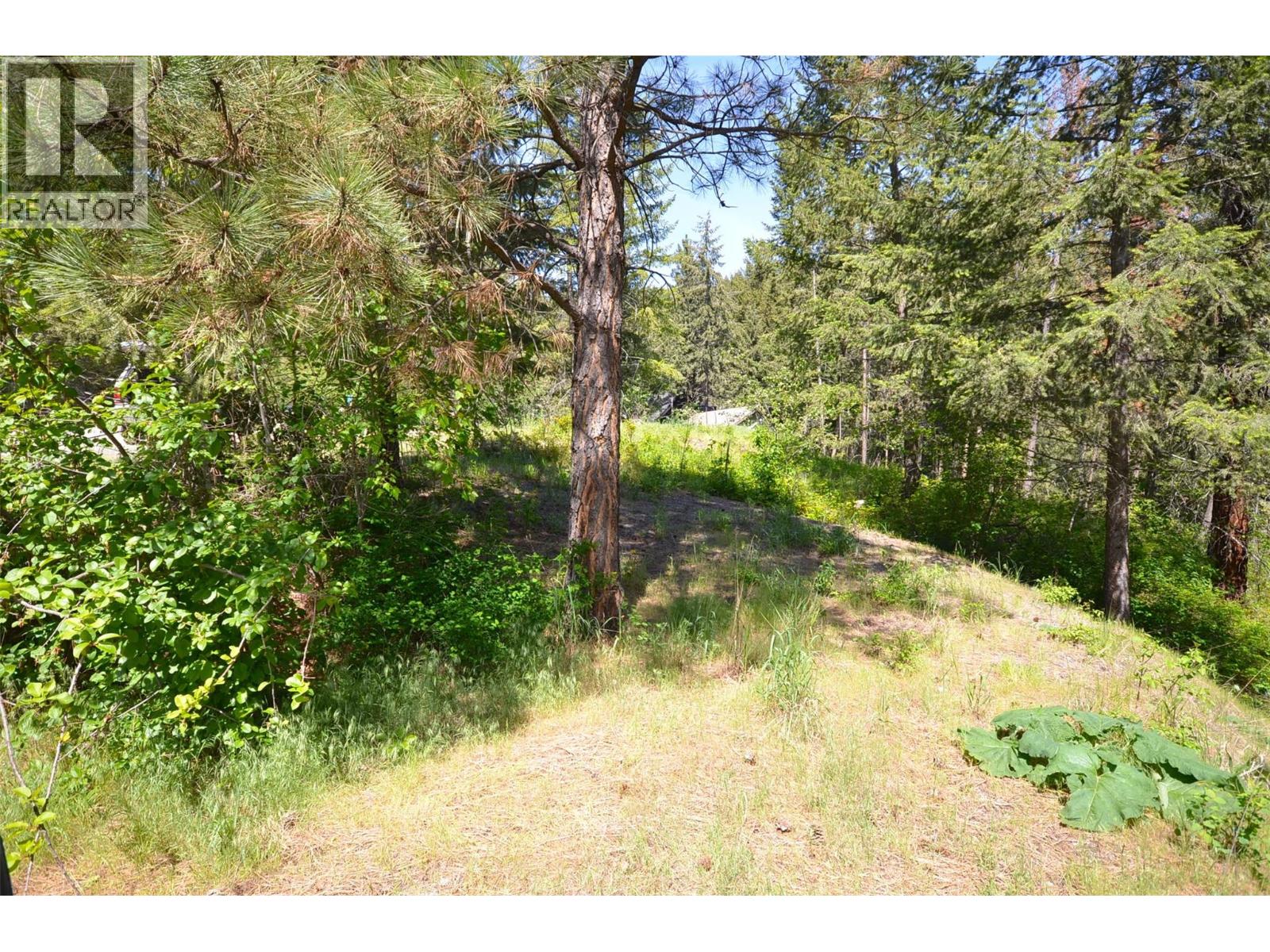 10713 Westshore Road, Vernon, British Columbia  V1H 2C2 - Photo 10 - 10369216