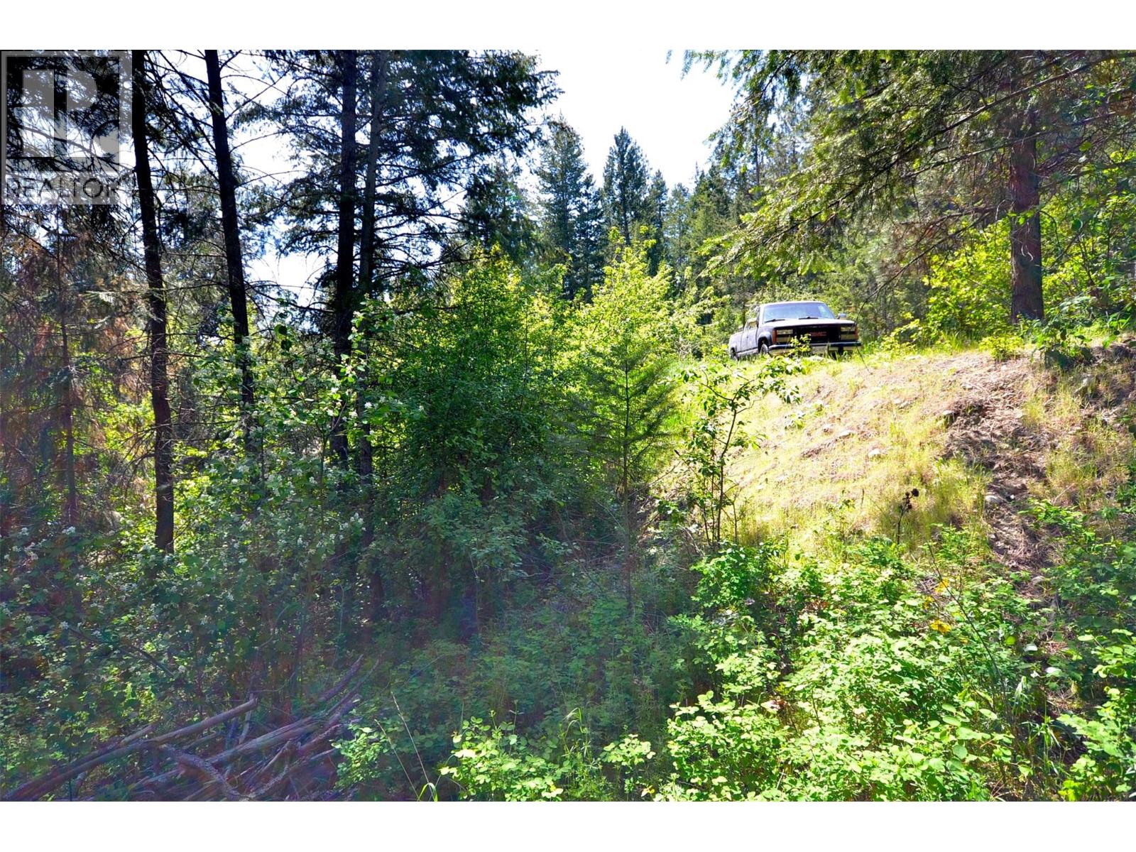 10713 Westshore Road, Vernon, British Columbia  V1H 2C2 - Photo 13 - 10369216