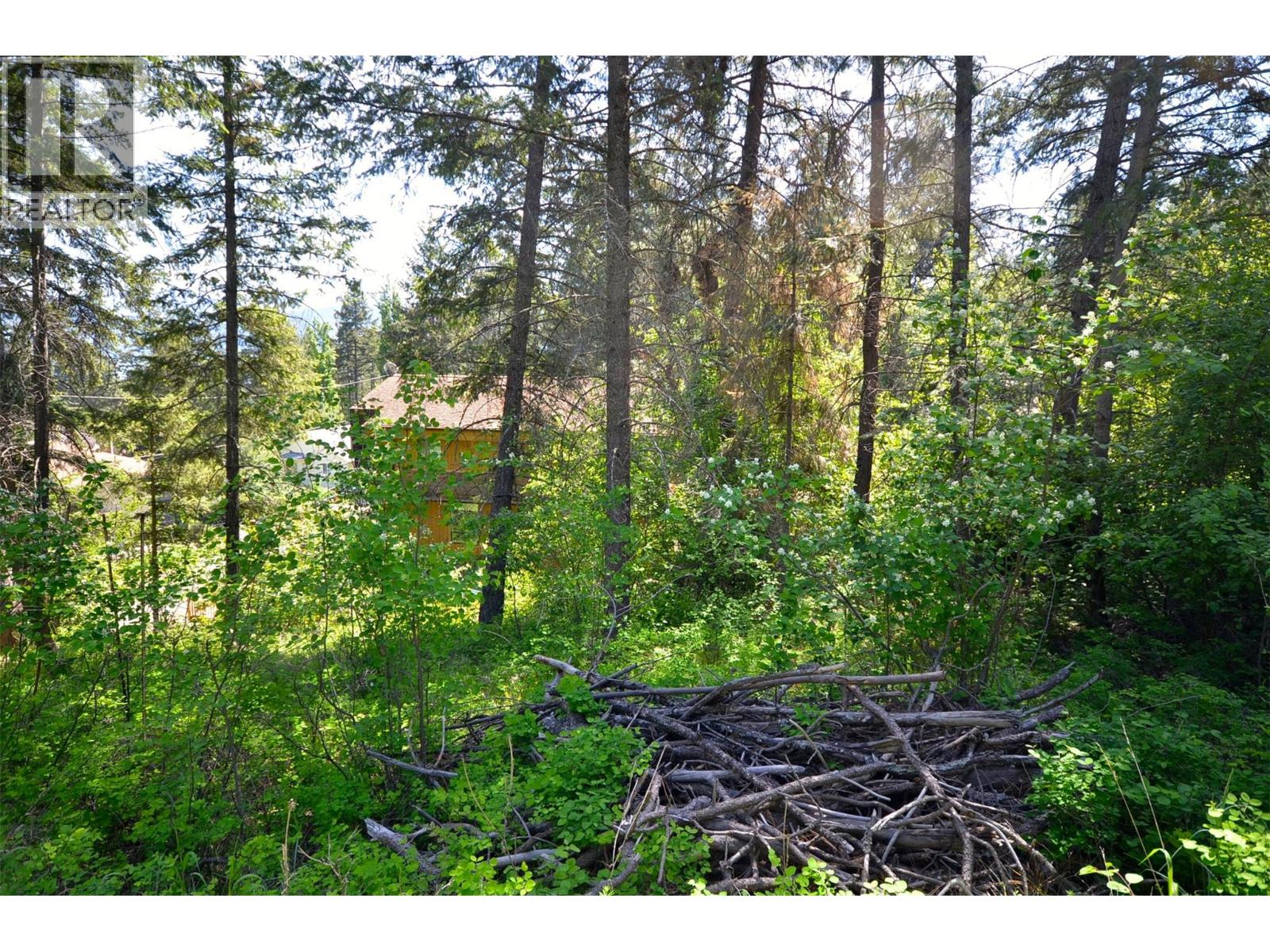 10713 Westshore Road, Vernon, British Columbia  V1H 2C2 - Photo 14 - 10369216