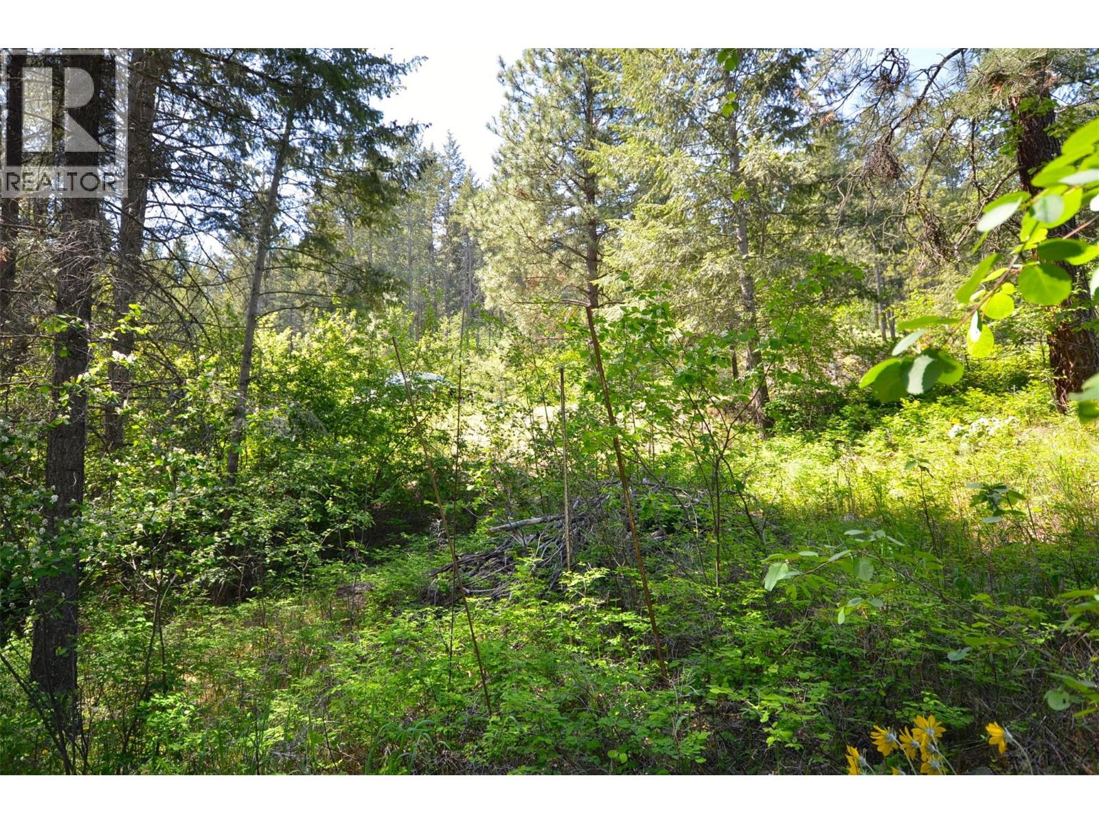 10713 Westshore Road, Vernon, British Columbia  V1H 2C2 - Photo 17 - 10369216