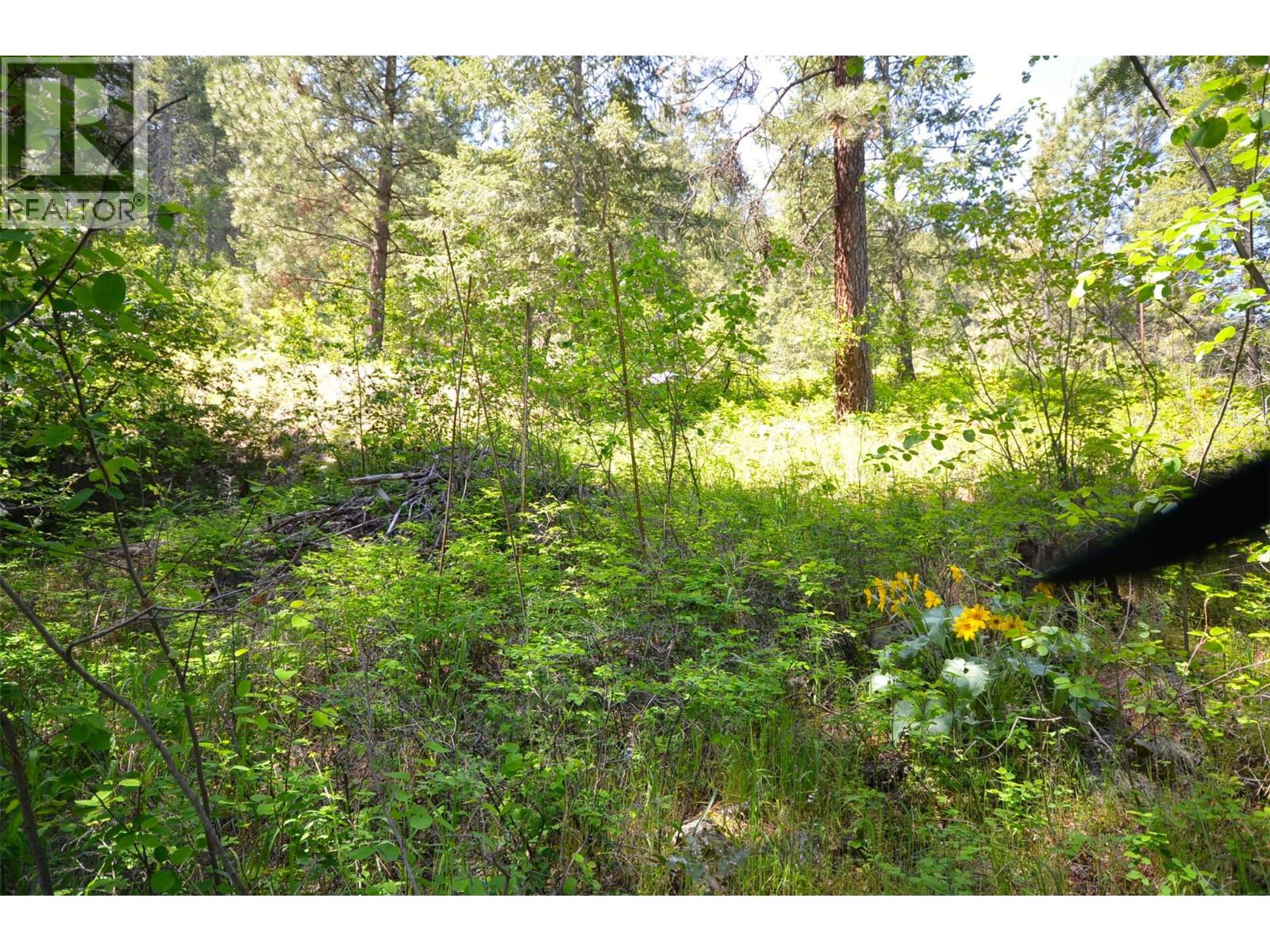 10713 Westshore Road, Vernon, British Columbia  V1H 2C2 - Photo 19 - 10369216
