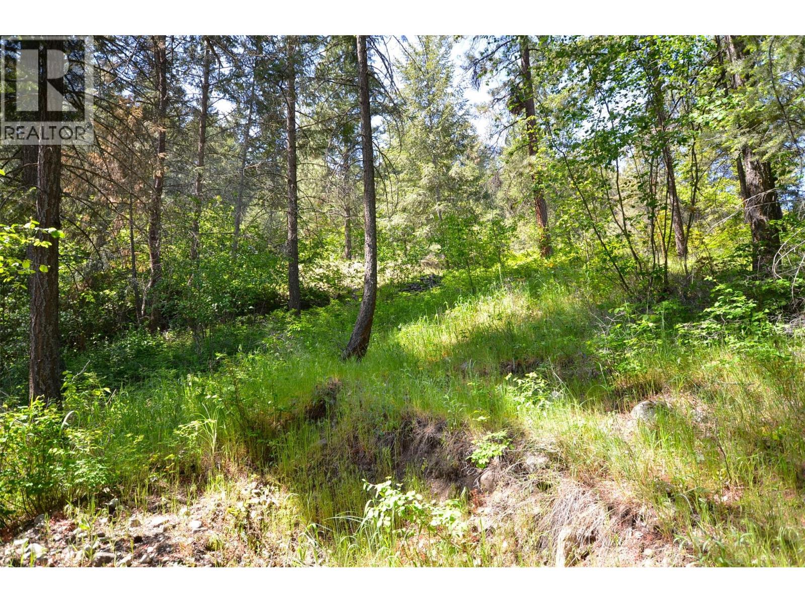 10713 Westshore Road, Vernon, British Columbia  V1H 2C2 - Photo 24 - 10369216