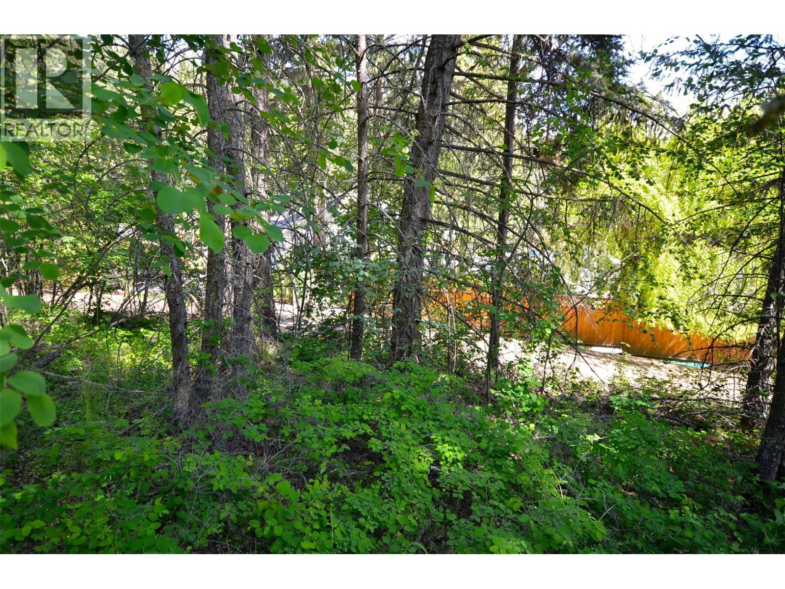 10713 Westshore Road, Vernon, British Columbia  V1H 2C2 - Photo 26 - 10369216