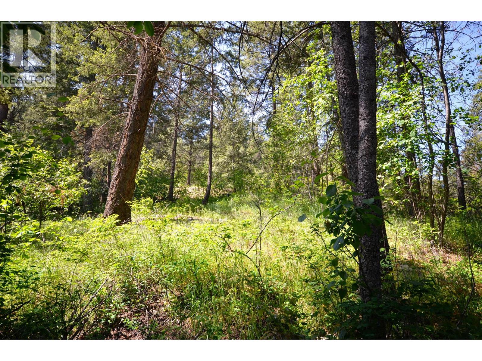 10713 Westshore Road, Vernon, British Columbia  V1H 2C2 - Photo 29 - 10369216