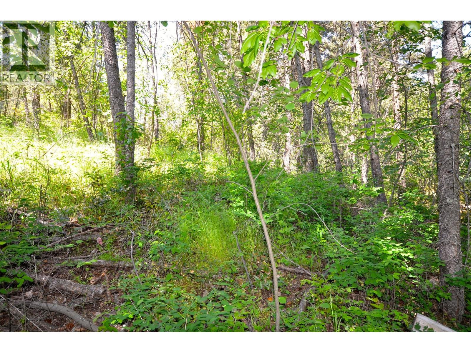 10713 Westshore Road, Vernon, British Columbia  V1H 2C2 - Photo 31 - 10369216