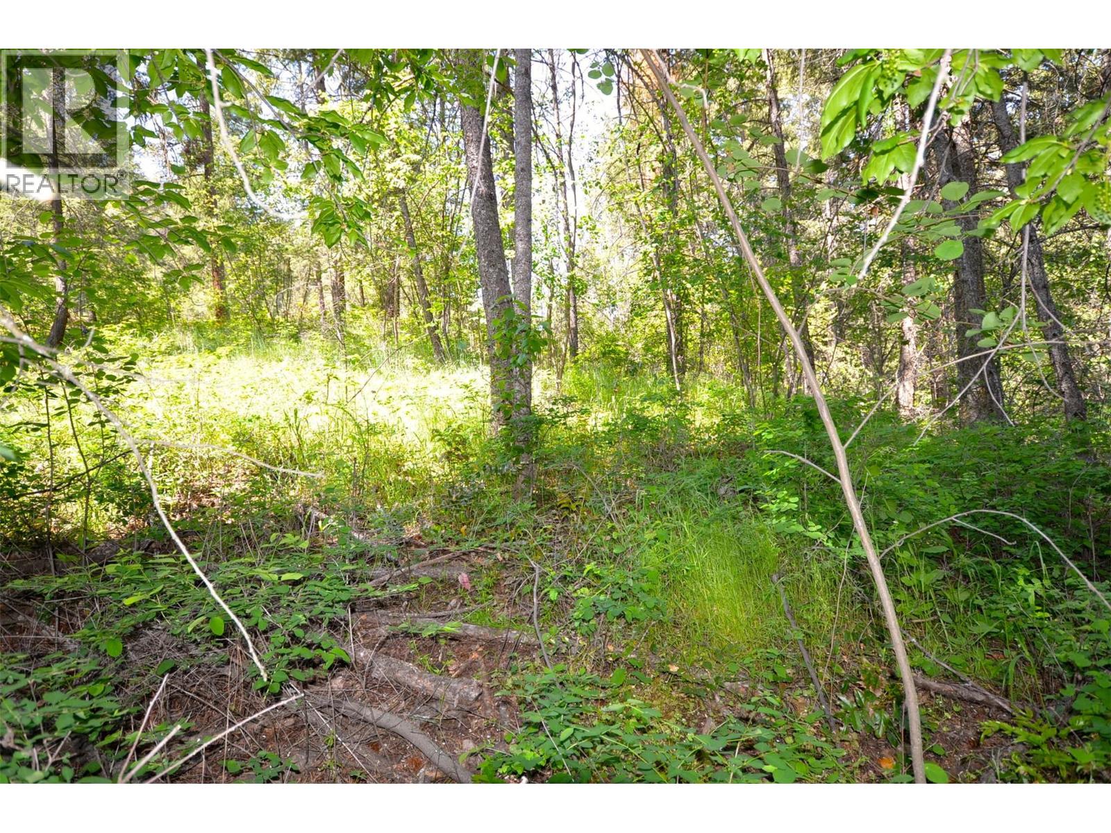 10713 Westshore Road, Vernon, British Columbia  V1H 2C2 - Photo 32 - 10369216