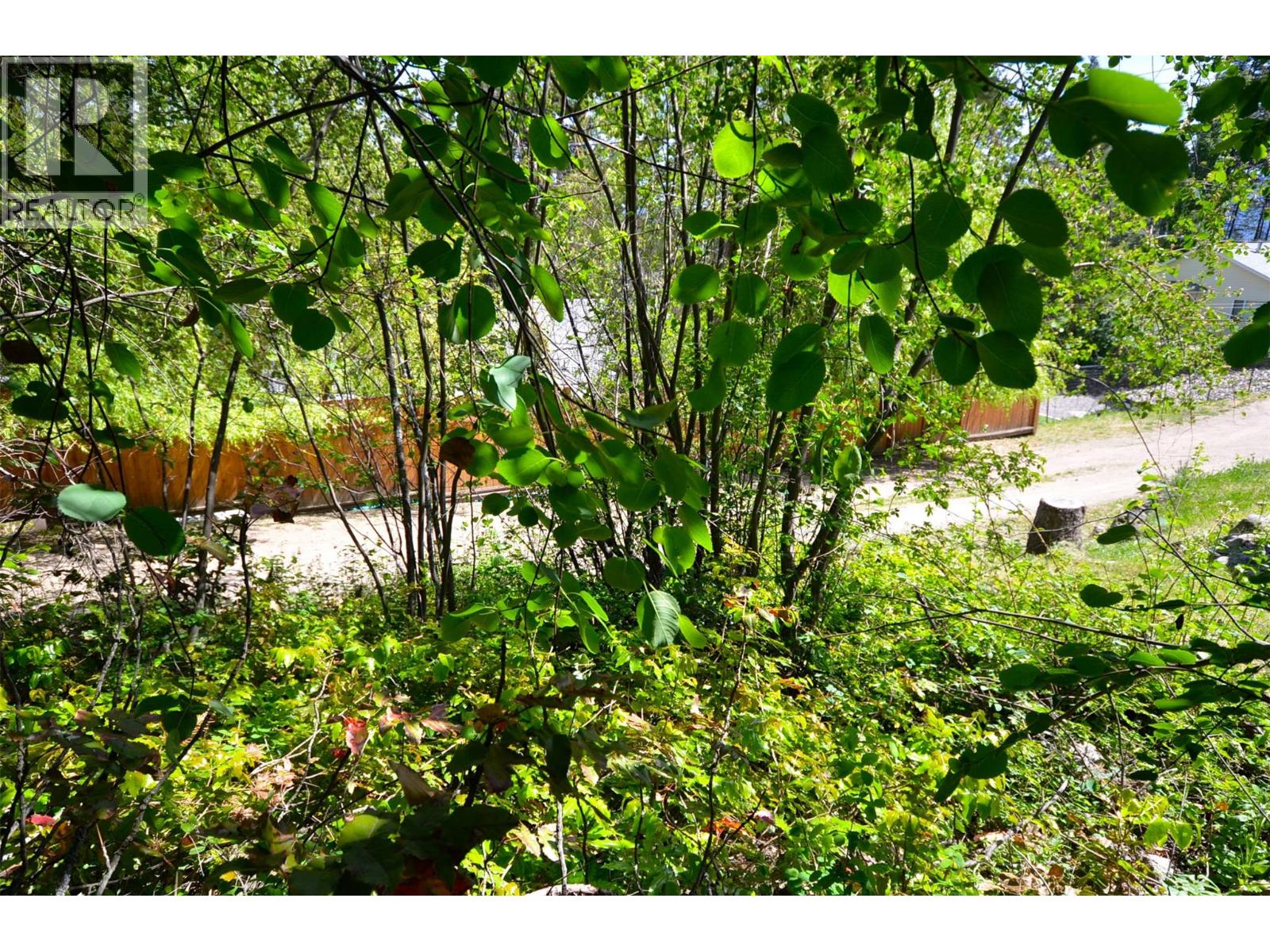 10713 Westshore Road, Vernon, British Columbia  V1H 2C2 - Photo 33 - 10369216