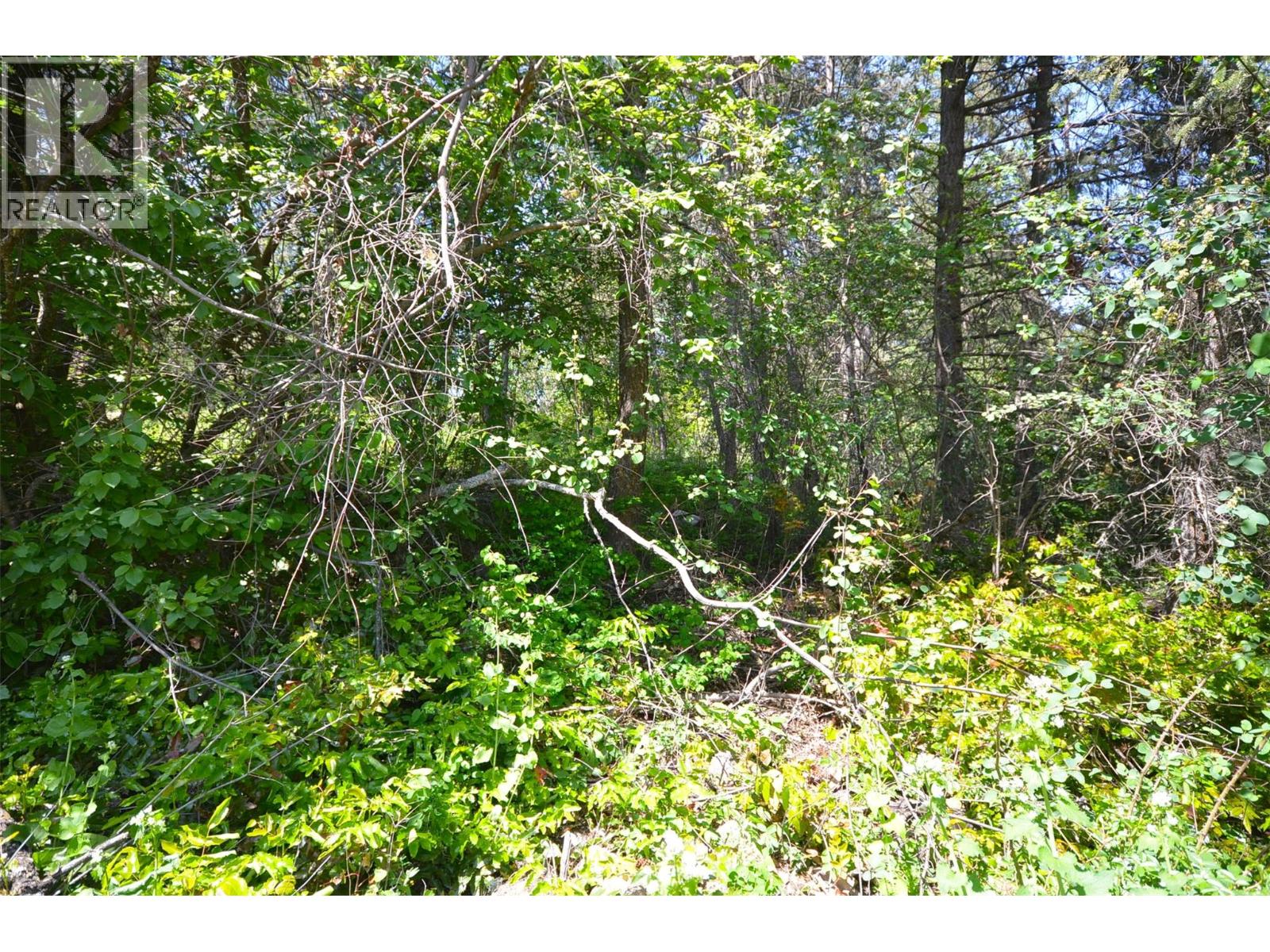 10713 Westshore Road, Vernon, British Columbia  V1H 2C2 - Photo 35 - 10369216