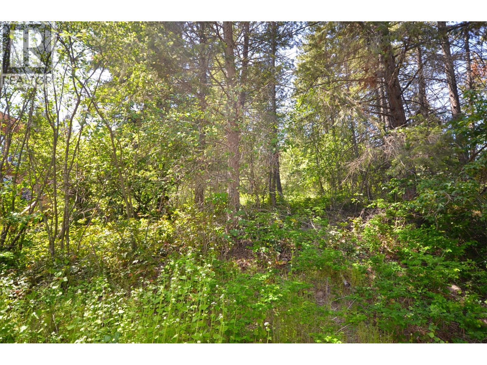10713 Westshore Road, Vernon, British Columbia  V1H 2C2 - Photo 36 - 10369216