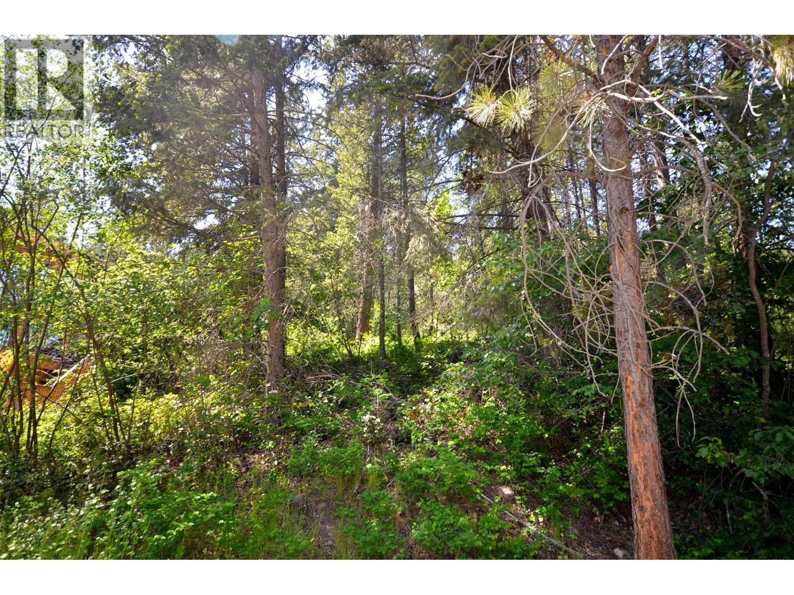 10713 Westshore Road, Vernon, British Columbia  V1H 2C2 - Photo 37 - 10369216