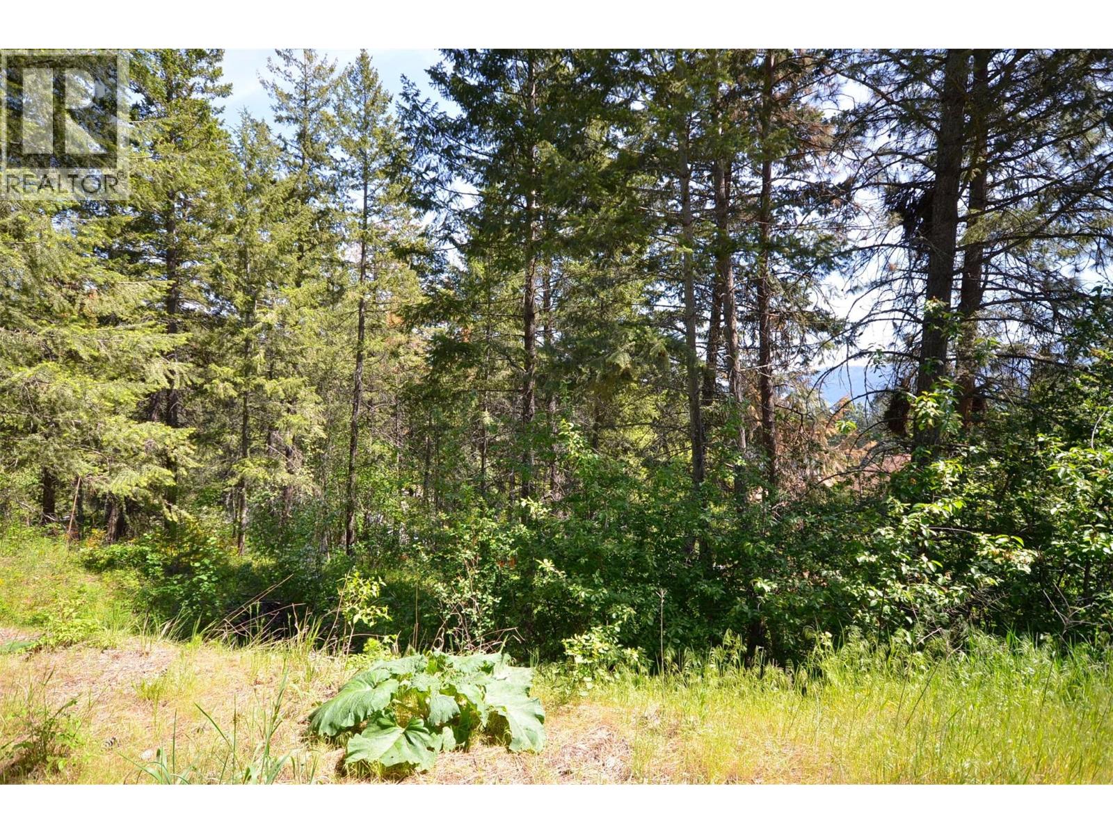 10713 Westshore Road, Vernon, British Columbia  V1H 2C2 - Photo 4 - 10369216