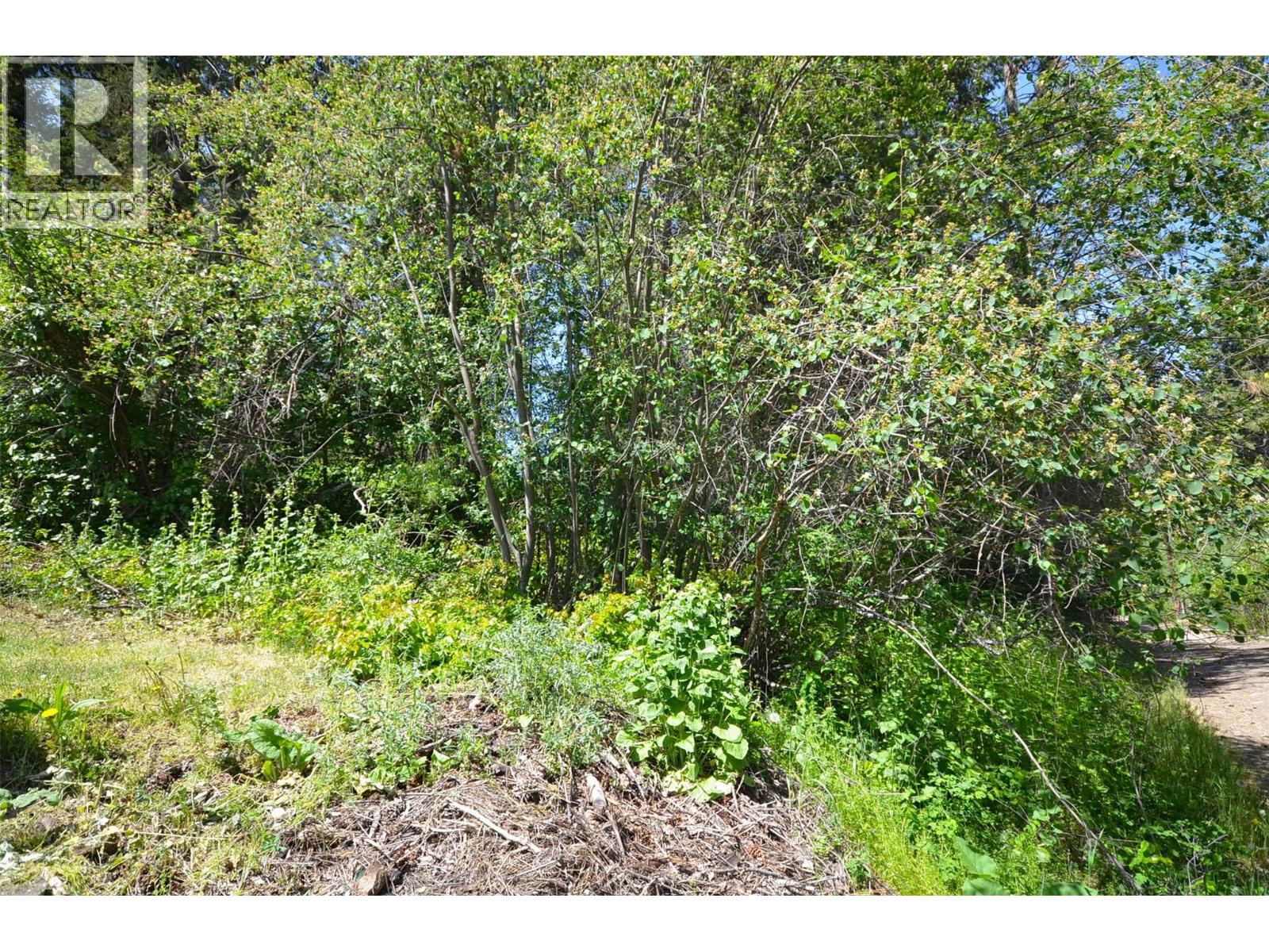 10713 Westshore Road, Vernon, British Columbia  V1H 2C2 - Photo 41 - 10369216