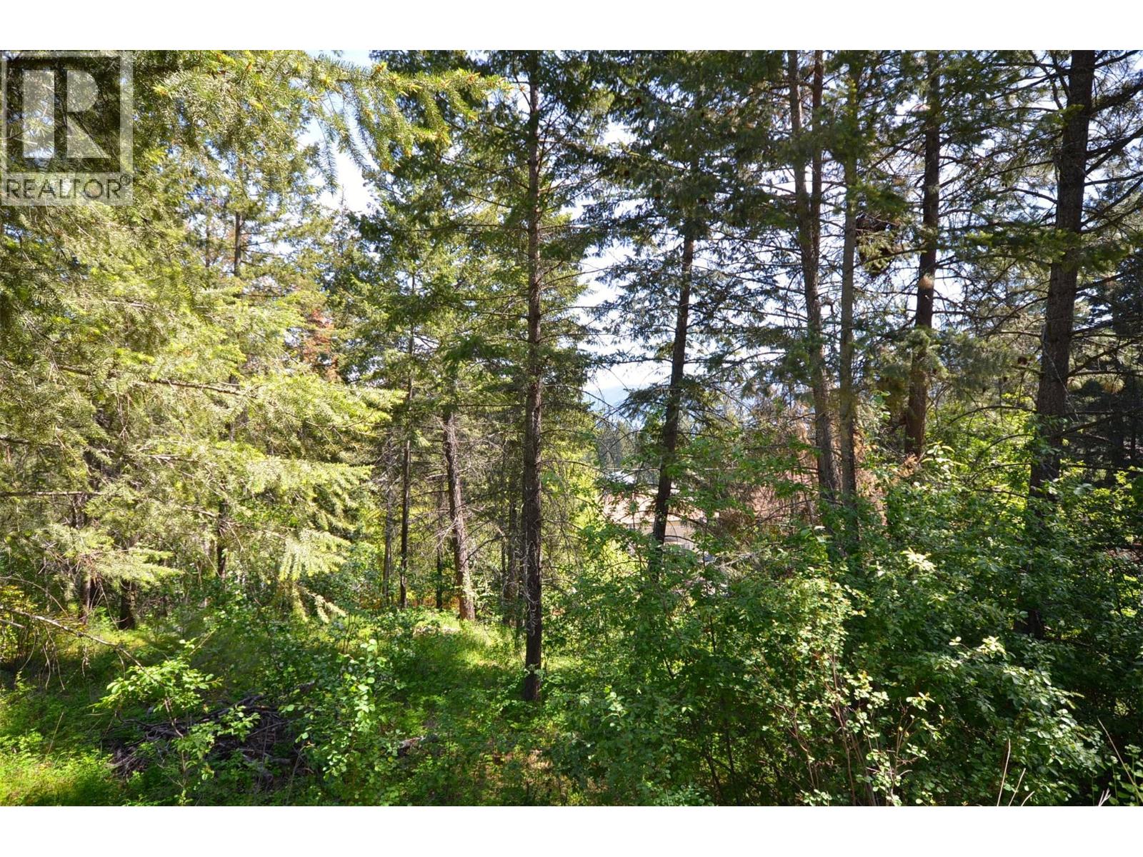 10713 Westshore Road, Vernon, British Columbia  V1H 2C2 - Photo 5 - 10369216