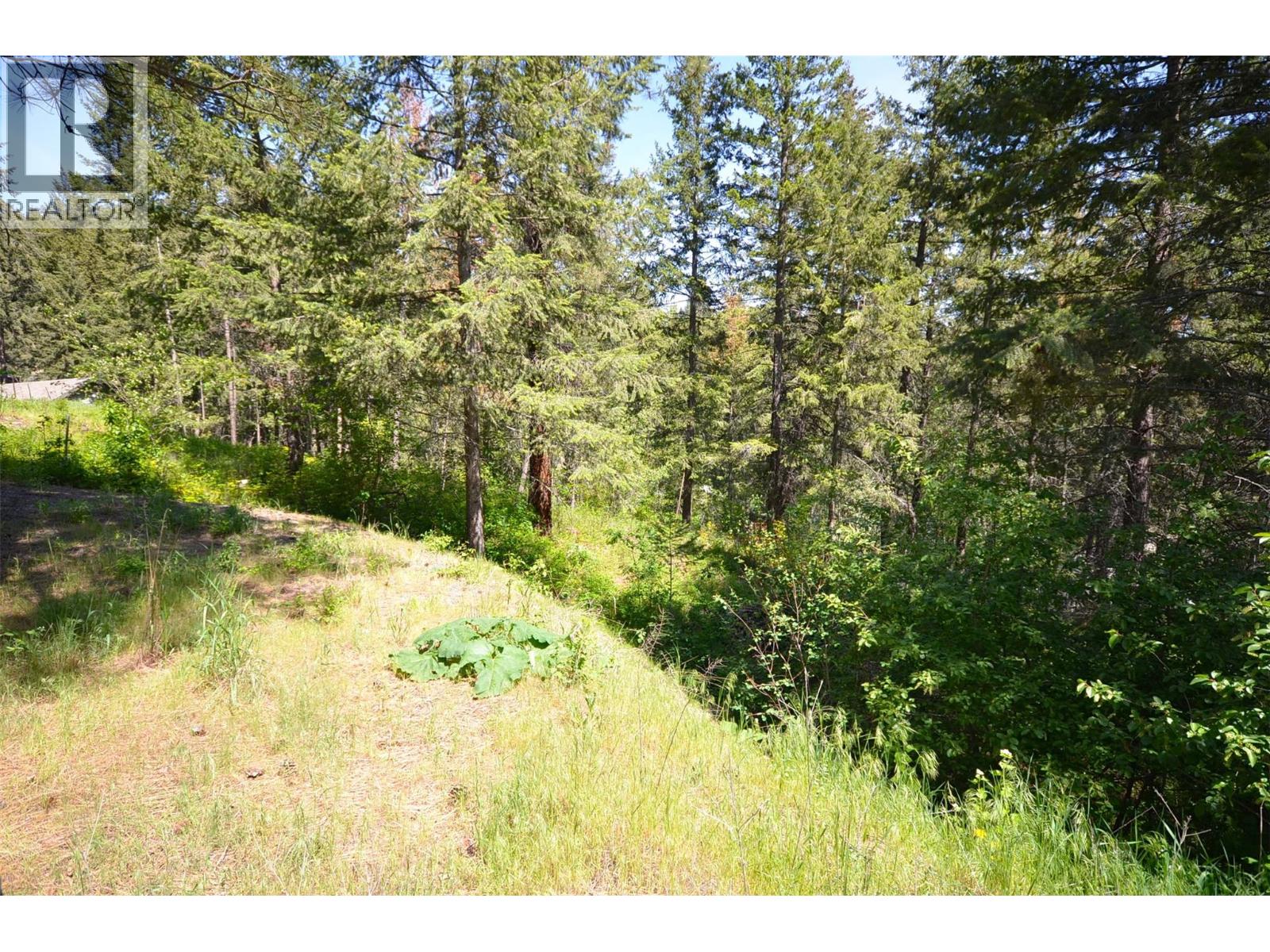 10713 Westshore Road, Vernon, British Columbia  V1H 2C2 - Photo 8 - 10369216