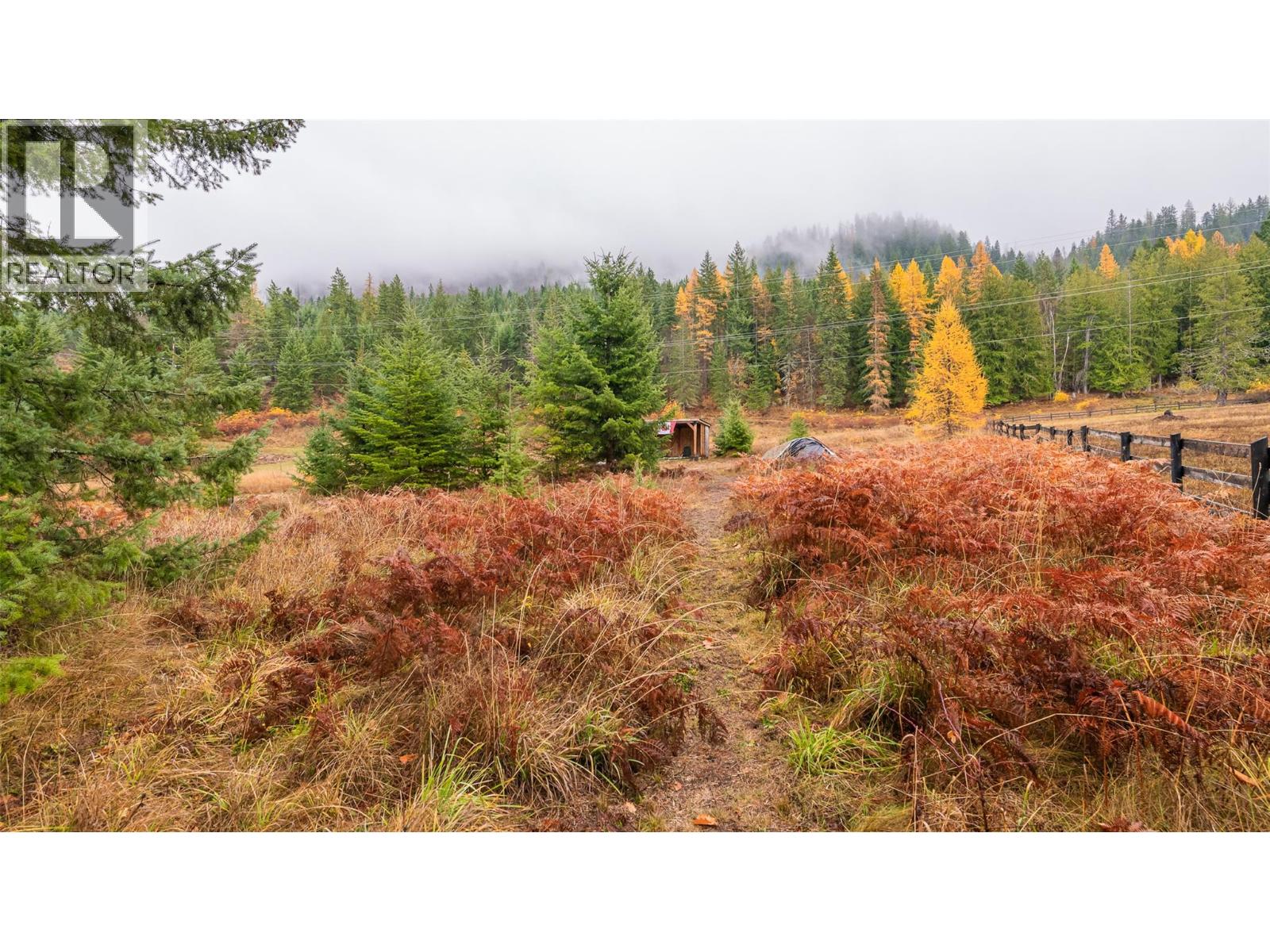 14448 3a Highway, Gray Creek, British Columbia  V0B 1S0 - Photo 11 - 10369291
