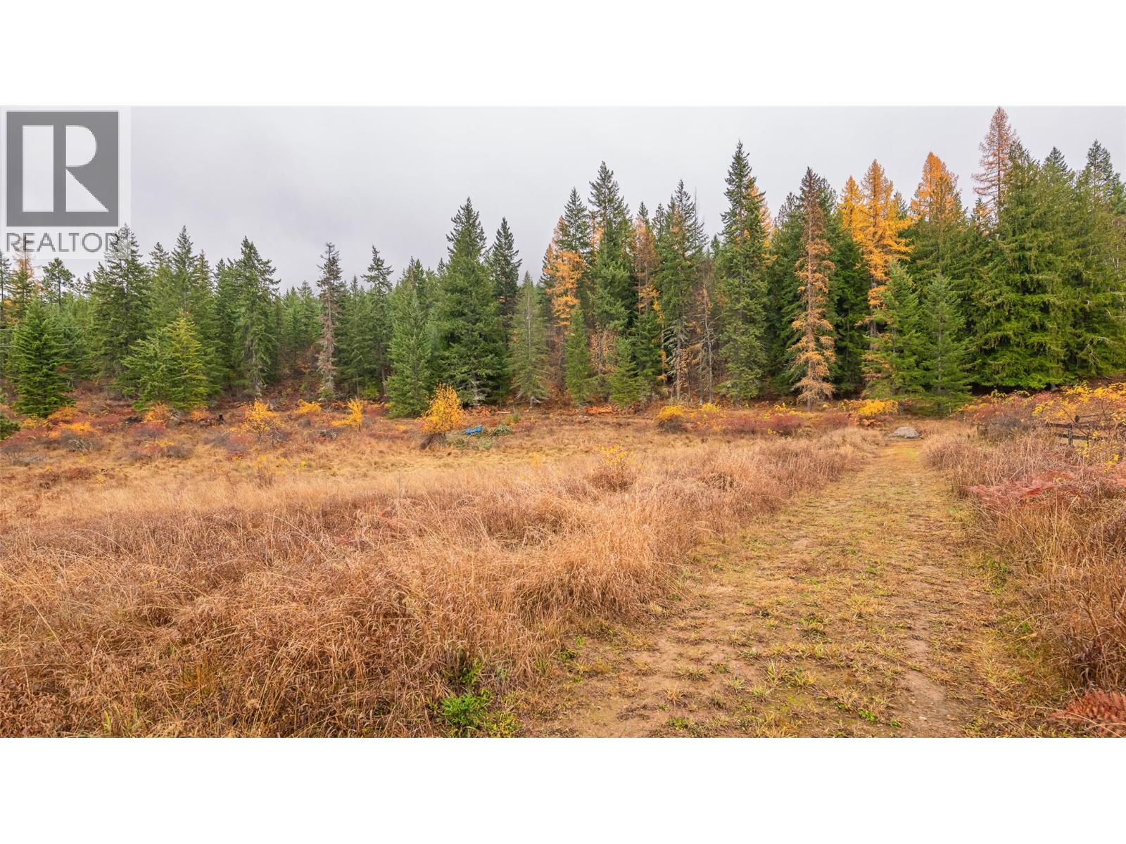14448 3a Highway, Gray Creek, British Columbia  V0B 1S0 - Photo 13 - 10369291