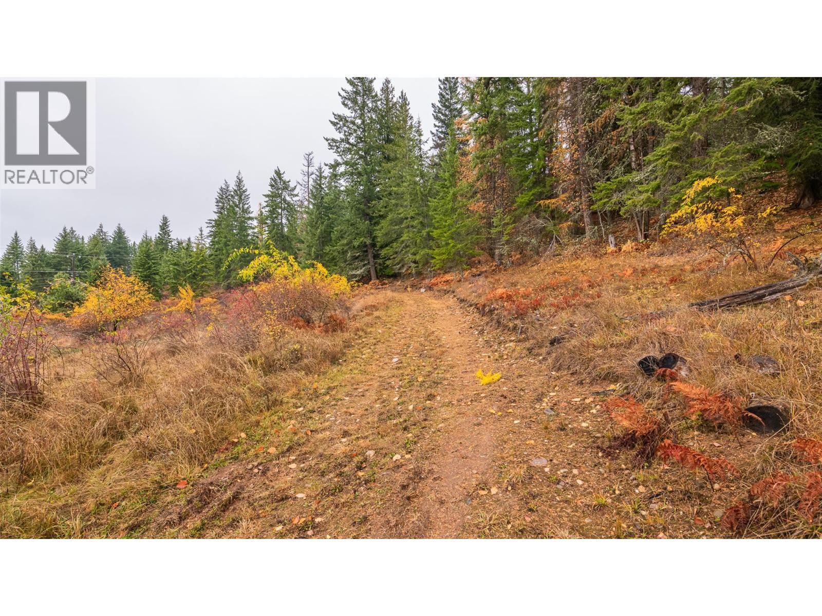 14448 3a Highway, Gray Creek, British Columbia  V0B 1S0 - Photo 14 - 10369291