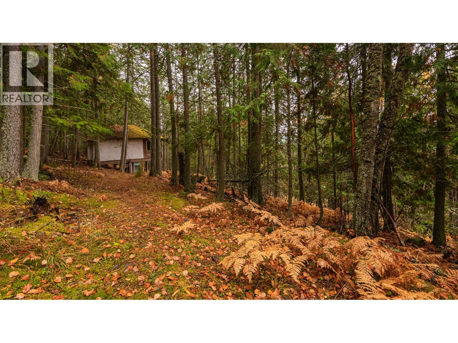 14448 3a Highway, Gray Creek, British Columbia  V0B 1S0 - Photo 16 - 10369291