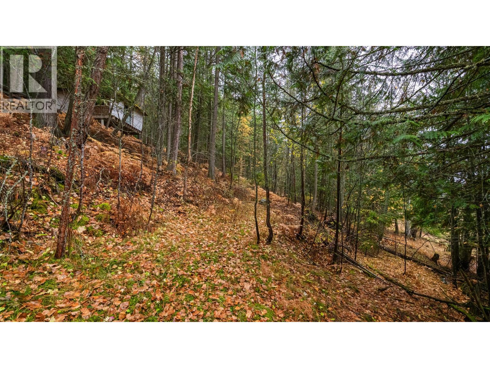 14448 3a Highway, Gray Creek, British Columbia  V0B 1S0 - Photo 20 - 10369291