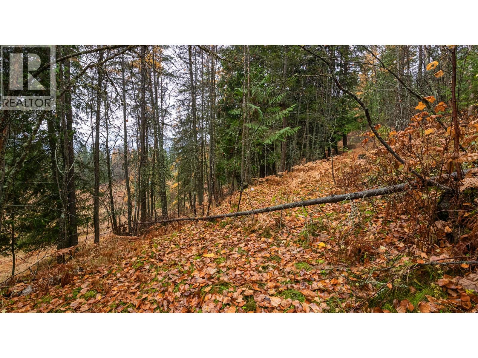 14448 3a Highway, Gray Creek, British Columbia  V0B 1S0 - Photo 21 - 10369291