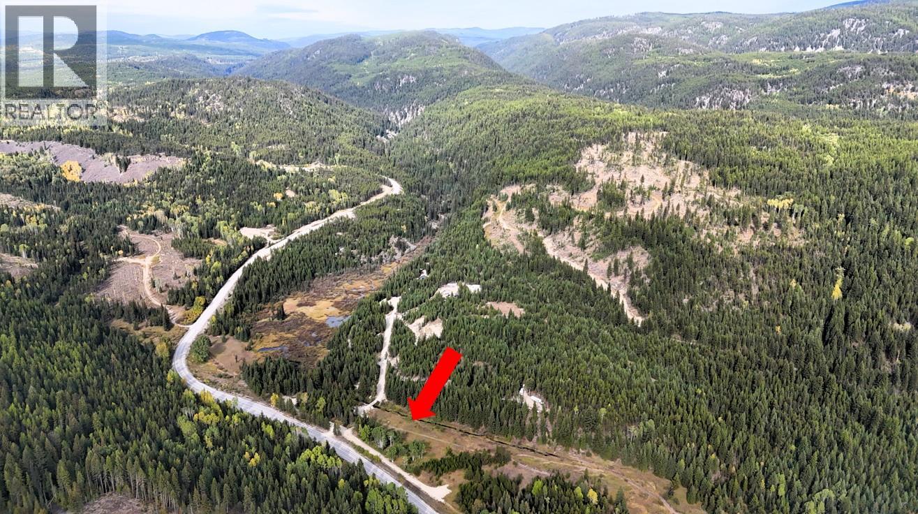 Clark Creek Road Lot# 17, Carmi, British Columbia  V0H 0A4 - Photo 10 - 10369068