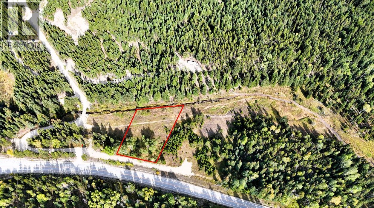 Clark Creek Road Lot# 17, Carmi, British Columbia  V0H 0A4 - Photo 2 - 10369068