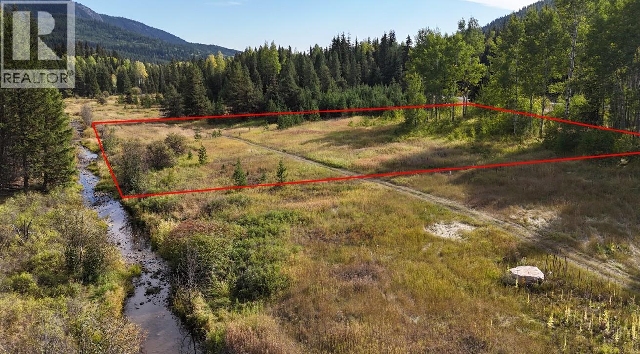 Clark Creek Road Lot# 17, Carmi, British Columbia  V0H 0A4 - Photo 3 - 10369068