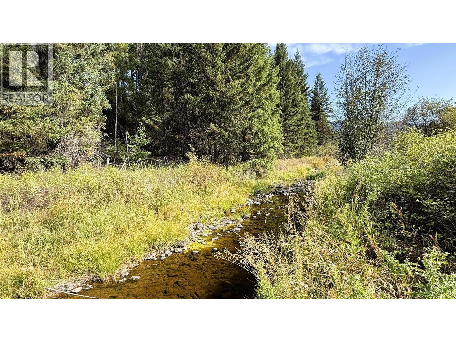 Clark Creek Road Lot# 17, Carmi, British Columbia  V0H 0A4 - Photo 4 - 10369068