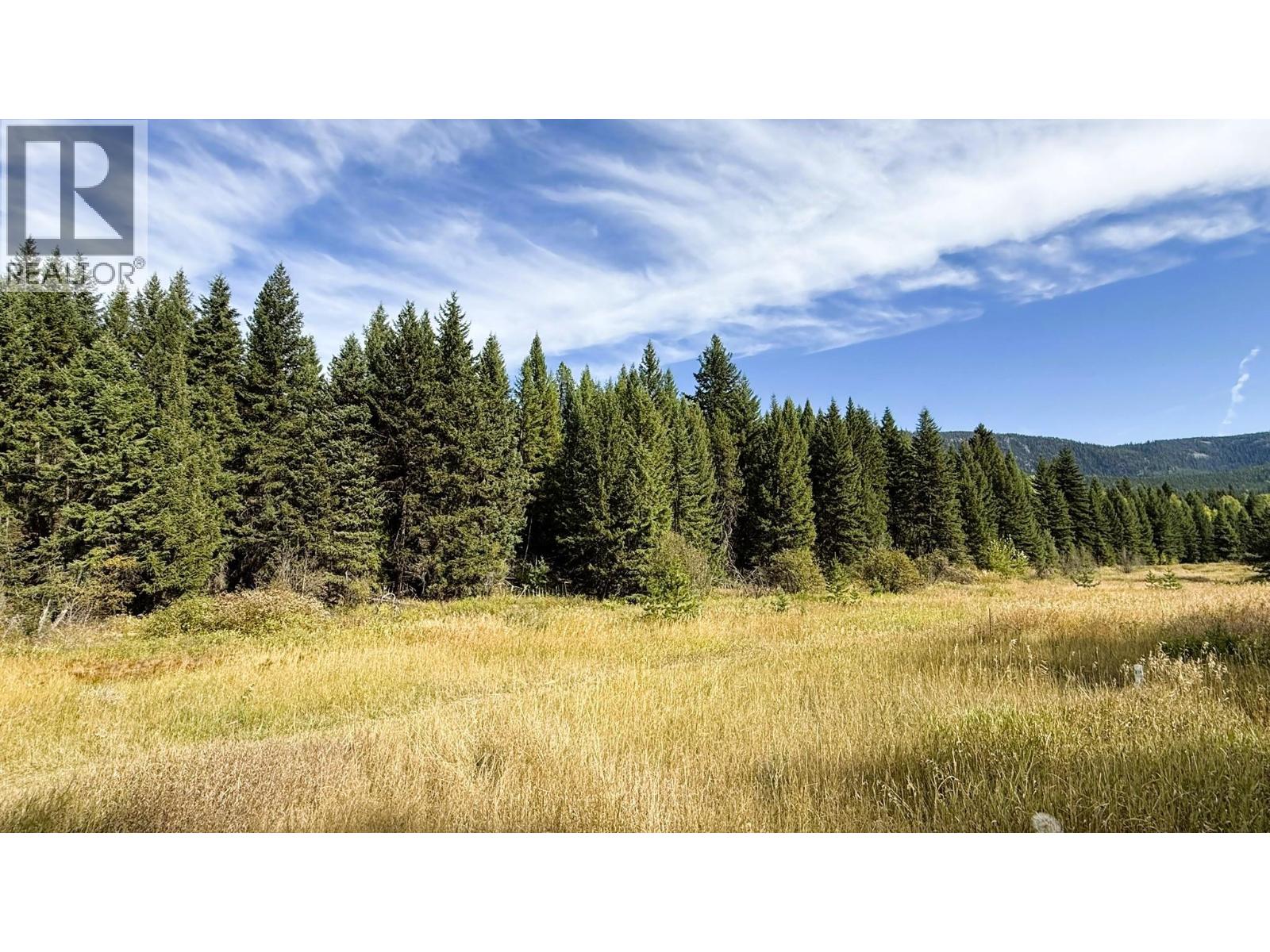 Clark Creek Road Lot# 17, Carmi, British Columbia  V0H 0A4 - Photo 5 - 10369068