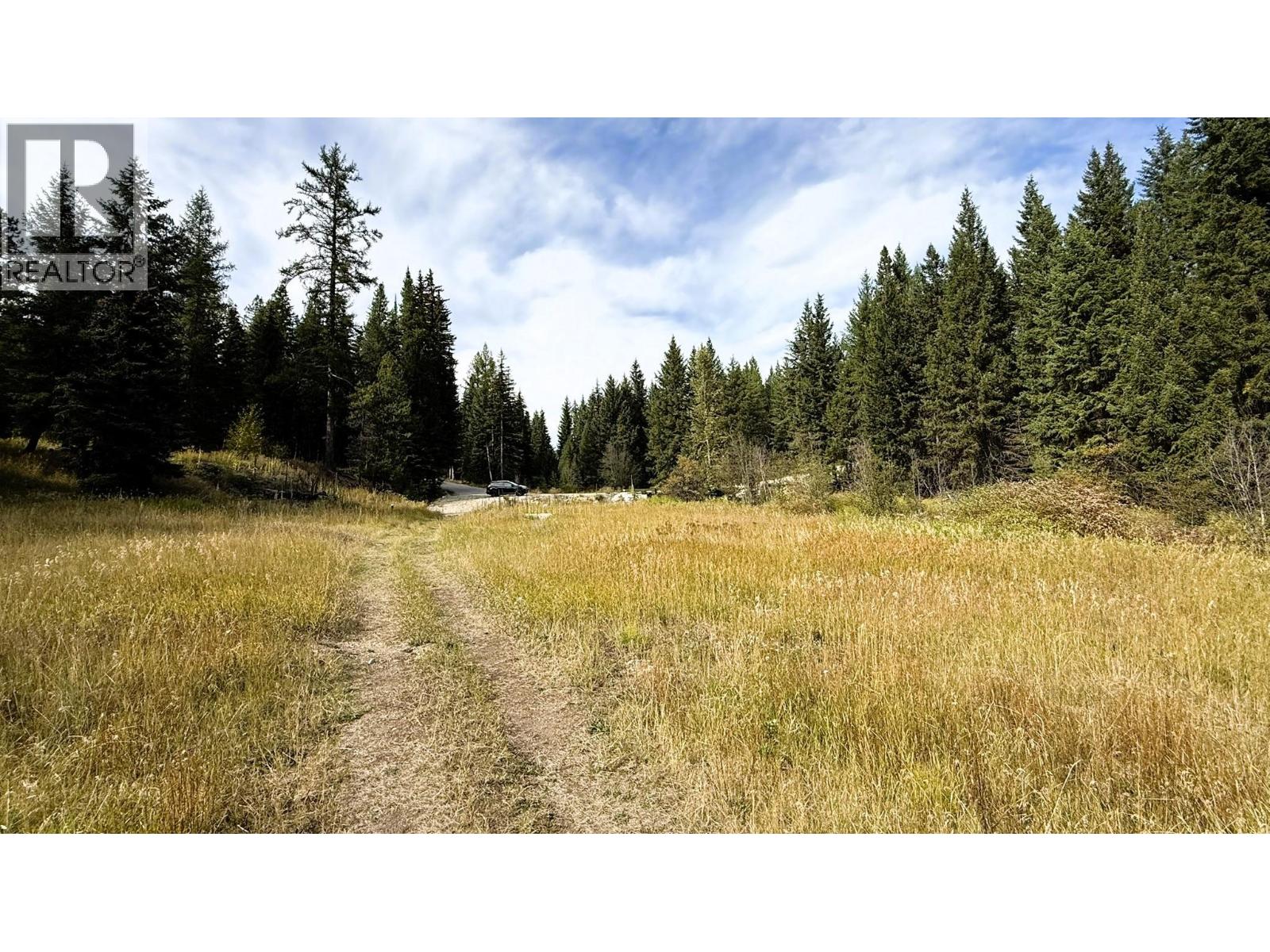 Clark Creek Road Lot# 17, Carmi, British Columbia  V0H 0A4 - Photo 6 - 10369068