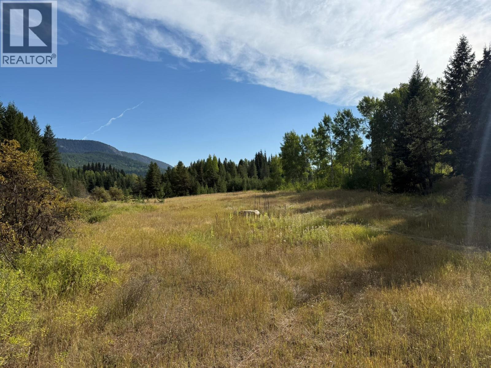 Clark Creek Road Lot# 17, Carmi, British Columbia  V0H 0A4 - Photo 7 - 10369068