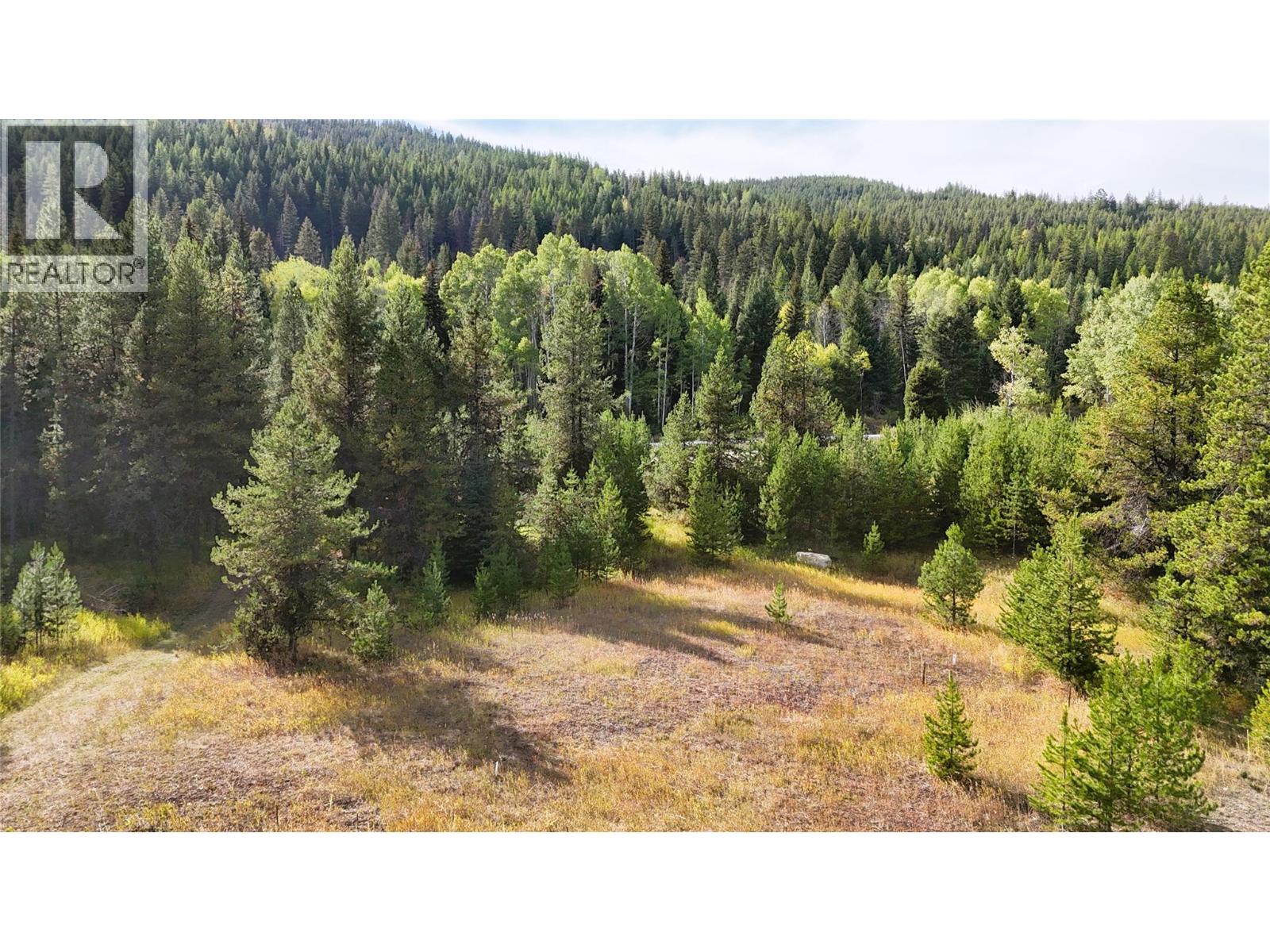 Clark Creek Road Lot# 17, Carmi, British Columbia  V0H 0A4 - Photo 8 - 10369068