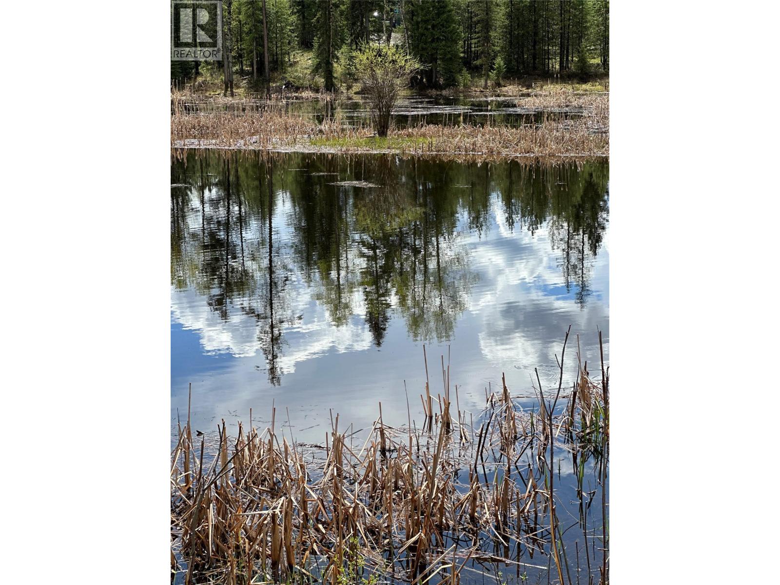 Wasa Lake Park Drive Lot# B, Wasa, British Columbia  V0B 2K0 - Photo 11 - 10369511
