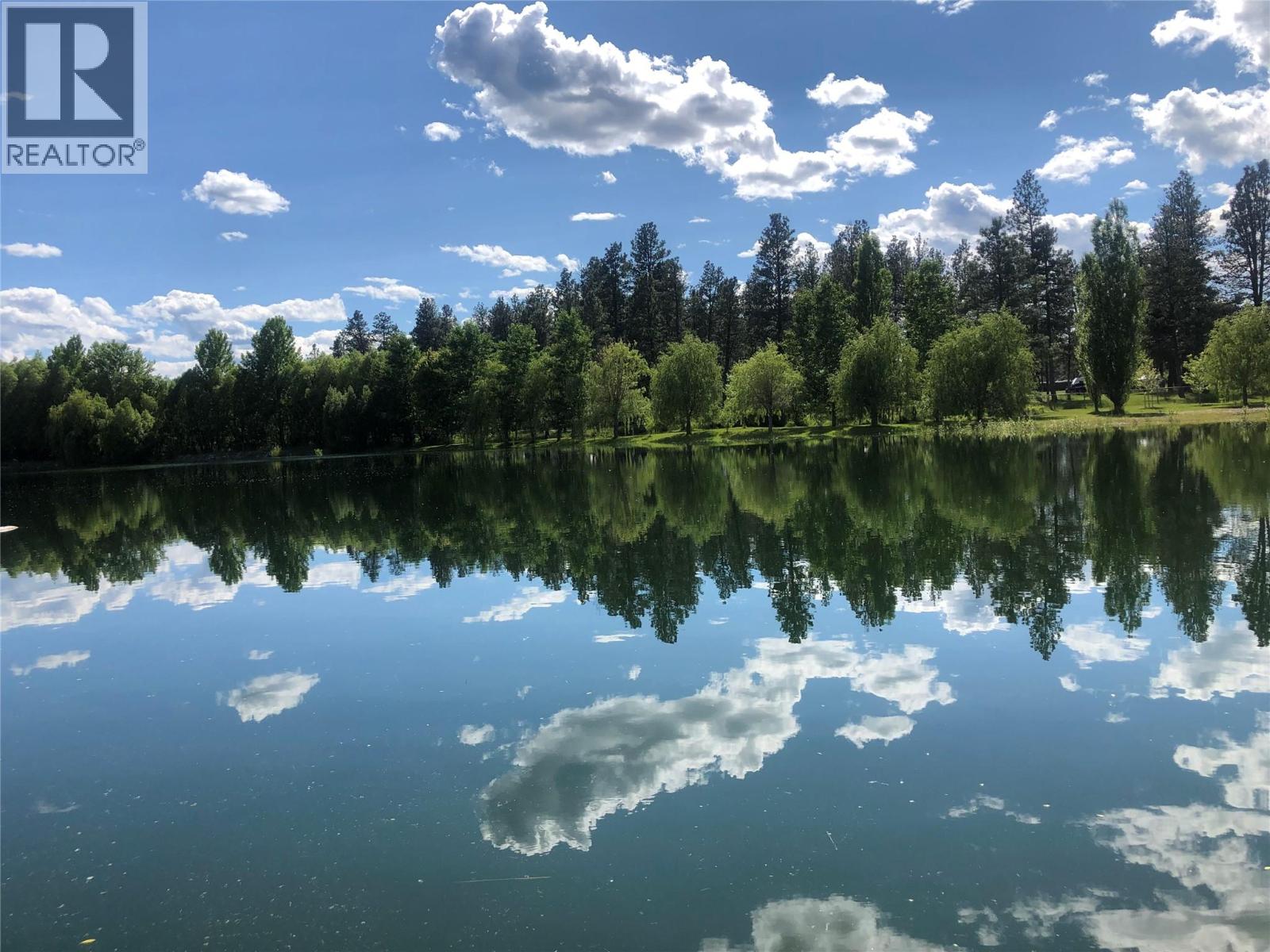 Wasa Lake Park Drive Lot# B, Wasa, British Columbia  V0B 2K0 - Photo 30 - 10369511