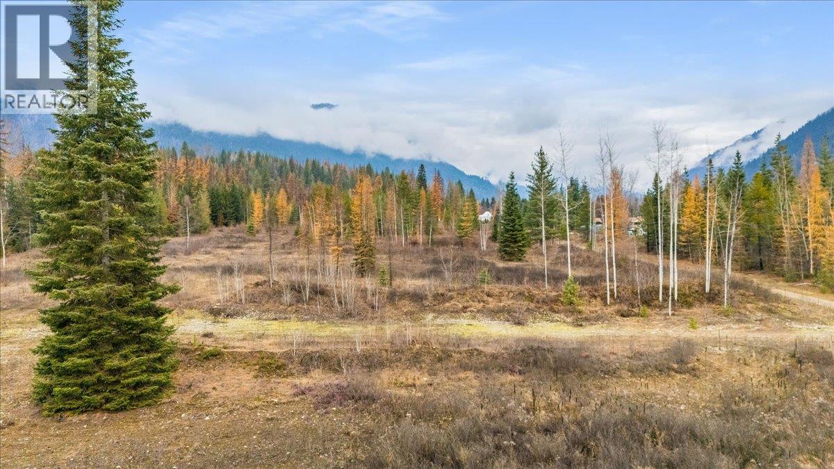 Lot B Henderson Avenue, Salmo, British Columbia  V0G 1Z0 - Photo 8 - 10369518
