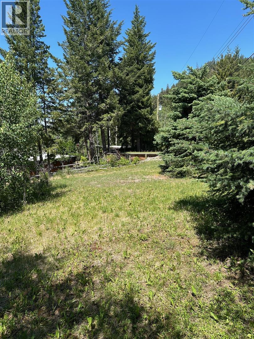 2986 Gophertail Road, Princeton, British Columbia  V0X 1W0 - Photo 2 - 10369708